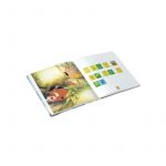 EL REY LEÓN PICTOGRAMAS