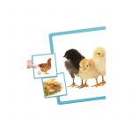 MAXI-SECUENCIAS NATURALES